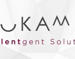 Okami Intalentgent Solutions