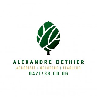 Dethier Alexandre