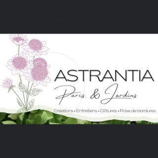 Astrantia parcs et jardins