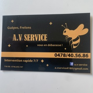 A.v service