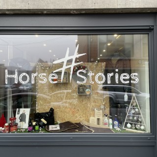 Horse Stories