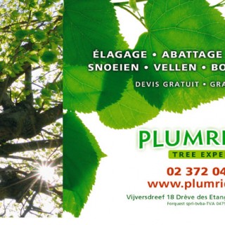 Plumridge