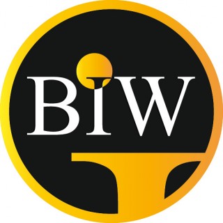 BIW Agency- Best Imaging Web