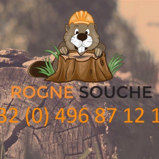 ROGNE SOUCHE