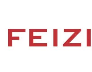 Feizi gallery