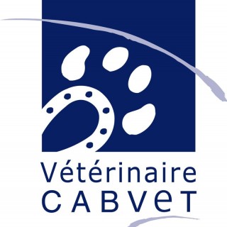 Cabvet