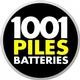 1001 piles Batteries