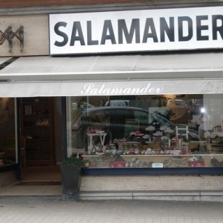 Salamander