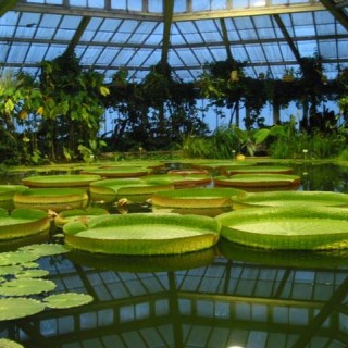 Jardin Botanique National de Belgique/Nationale plantentuin van België