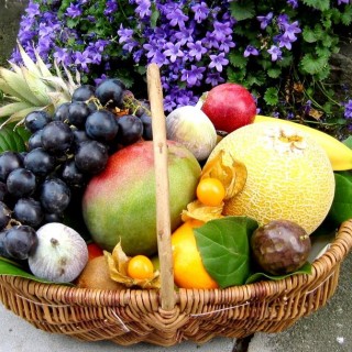 Allo Fruits